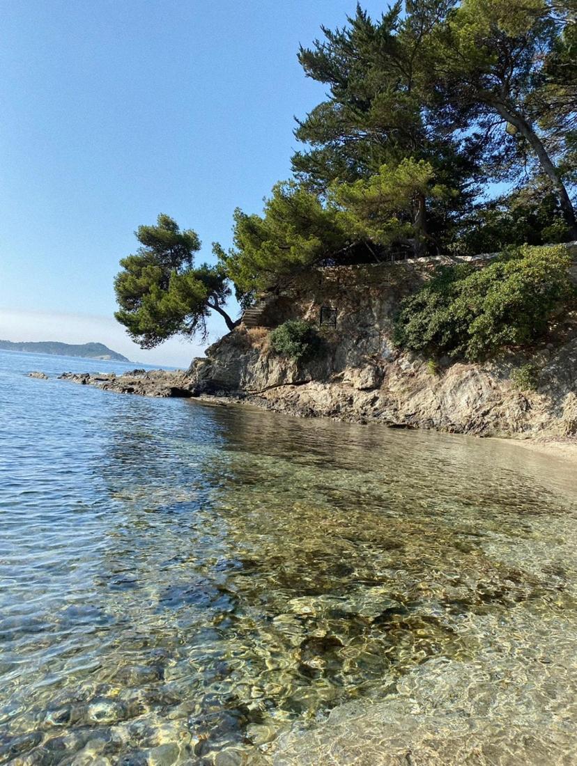 Haut De Villa Entre Mer Et Campagne Hyères Eksteriør billede